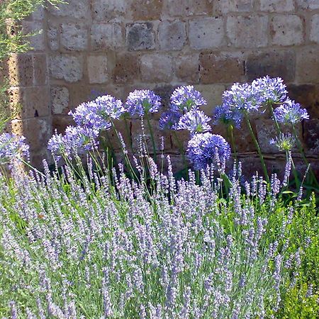 Locanda Palazzone Orvieto Dış mekan fotoğraf