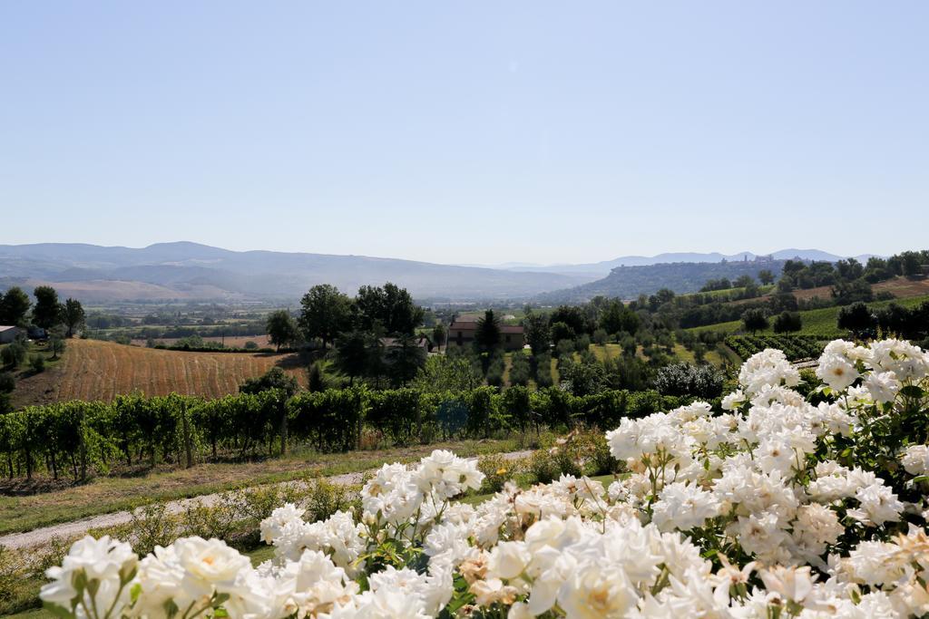 Locanda Palazzone Orvieto Dış mekan fotoğraf