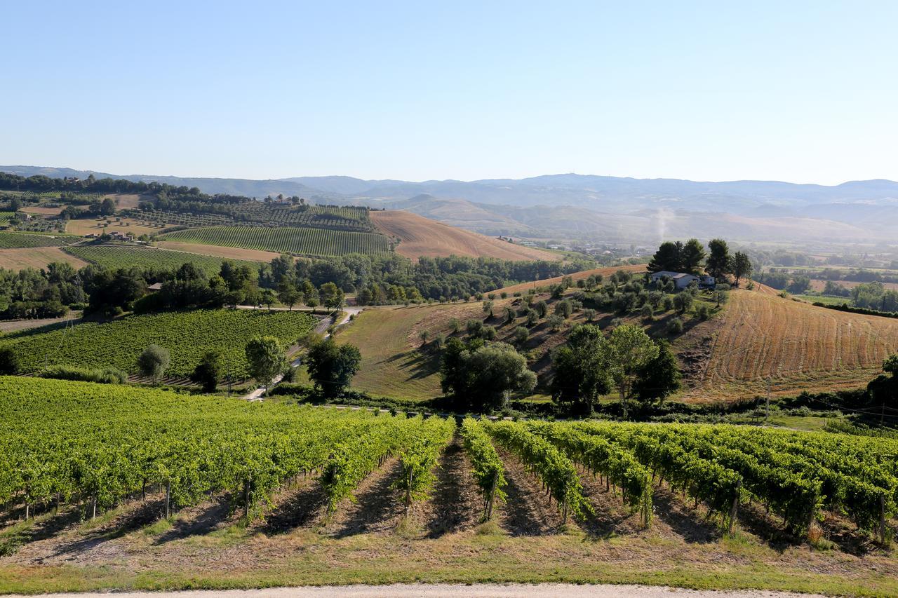 Locanda Palazzone Orvieto Dış mekan fotoğraf